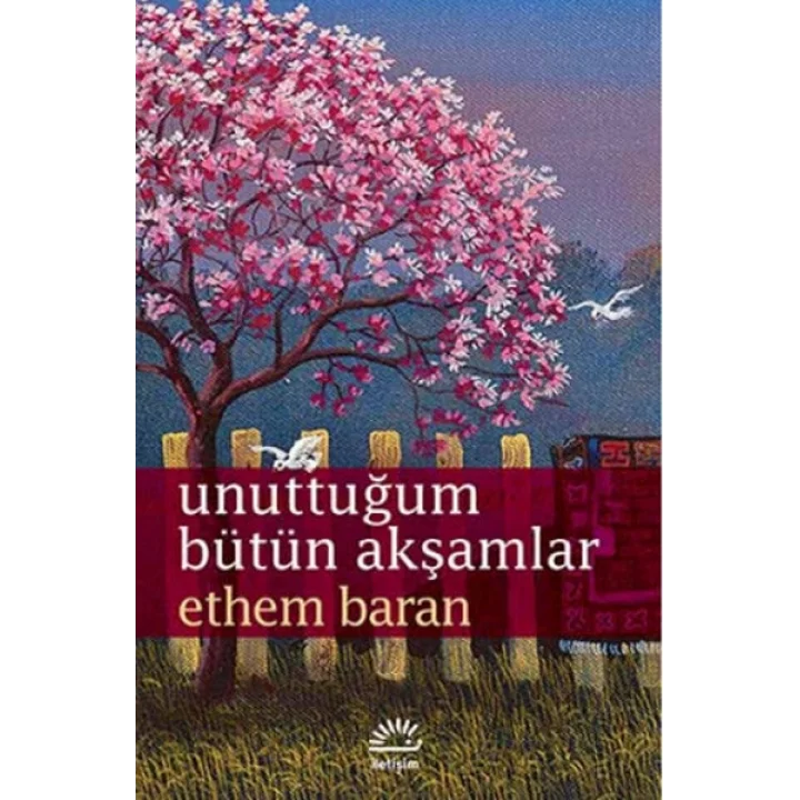 Unuttuğum Bütün Akşamlar