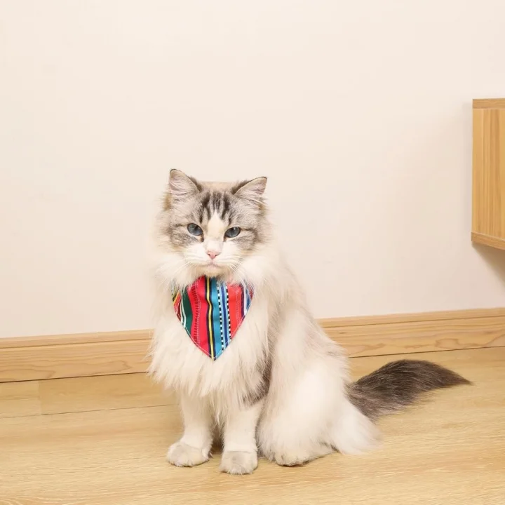 URBAN STYLE JAZZ STRIPES BANDANA COLLAR (S)