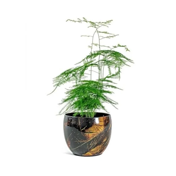 Vive Siyah Metal Saksı S 15X12 Cm