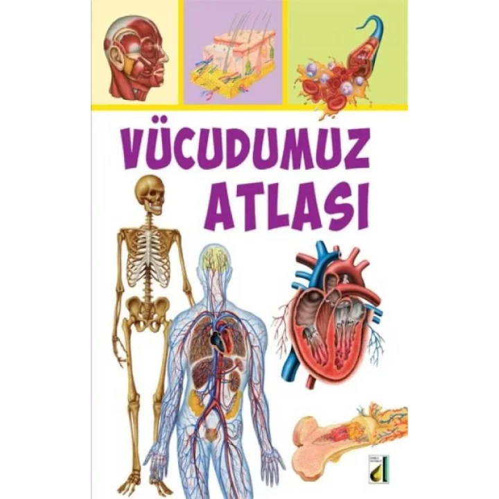 Vücudumuz Atlası