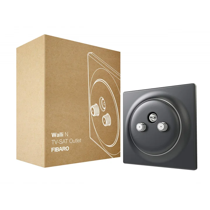 Walli N Ethernet Çıkışı/Yüksek Kaliteli Ethernet Çıkışı, 2xRJ45 Cat.6, Antrasit, FGWEEU-021-8