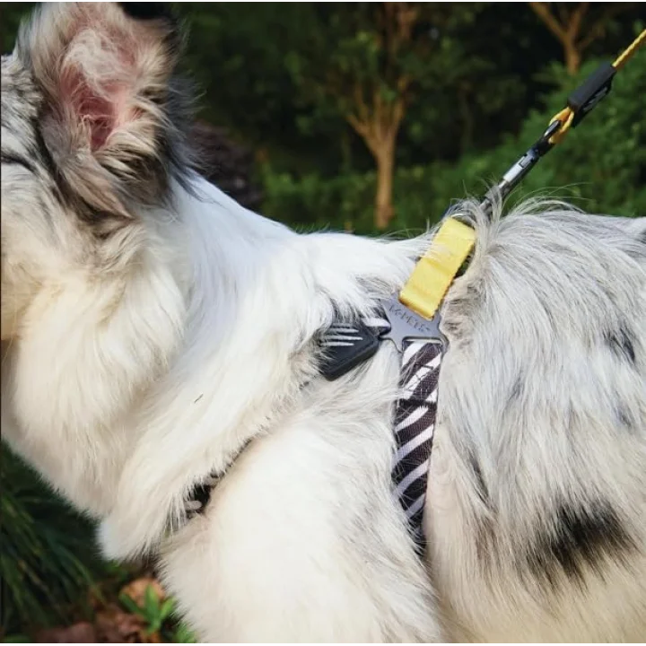 WILD SAFARI HARNESS (L)