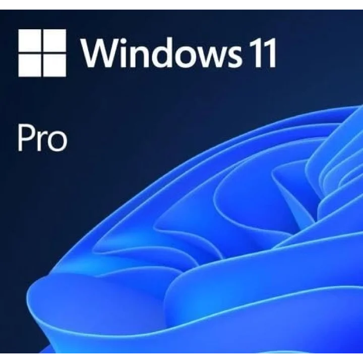 Windows 11 Pro HAV-00159 TR 64Bit Kutulu İşletim Sistemi
