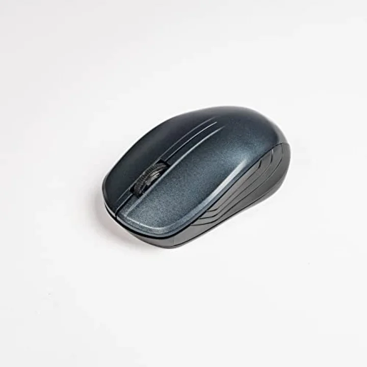 WT200 USB 2.4ghz Optik Wireless Blue Ergonomik Mini Mouse (MAVİ)