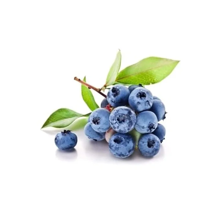 Yaban Mersini Tohumu Blueberry Tohumu