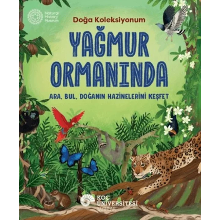 Yağmur Ormanında