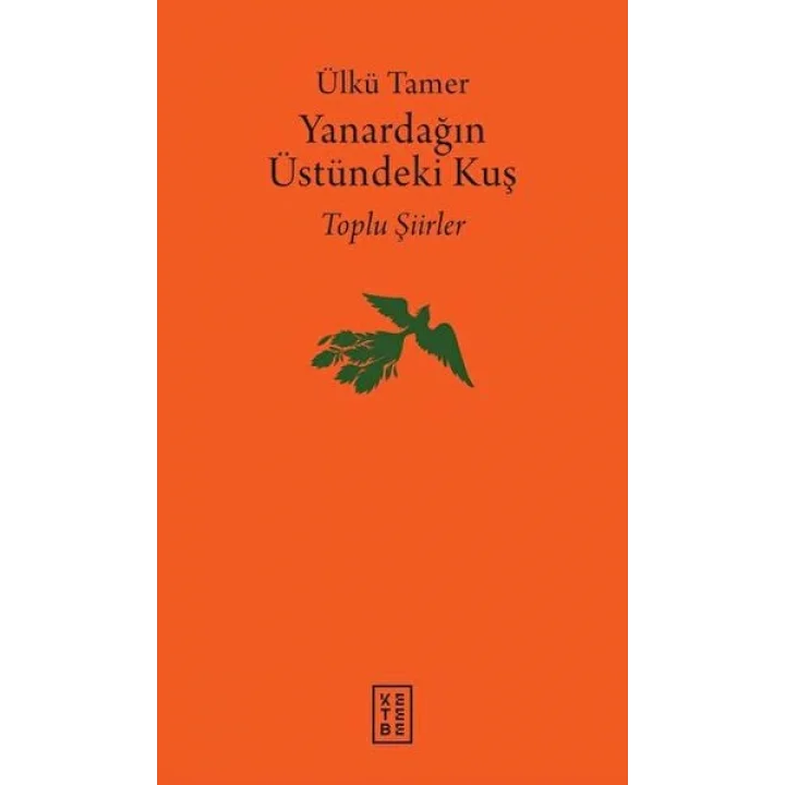 Yanardağın Üstündeki Kuş