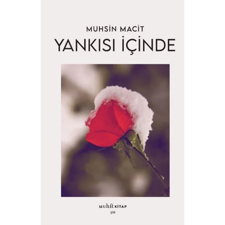 Yankısı İçinde