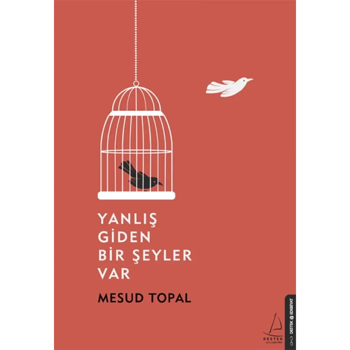 Yanlış Giden Bir Şeyler Var