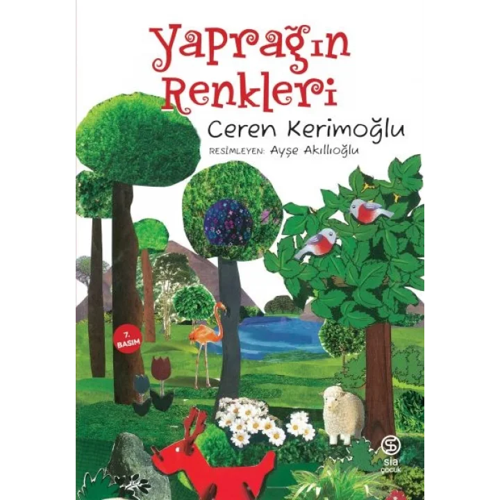 Yaprağın Renkleri