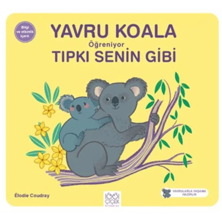 Yavru Koala Öğreniyor Tıpkı Senin Gibi
