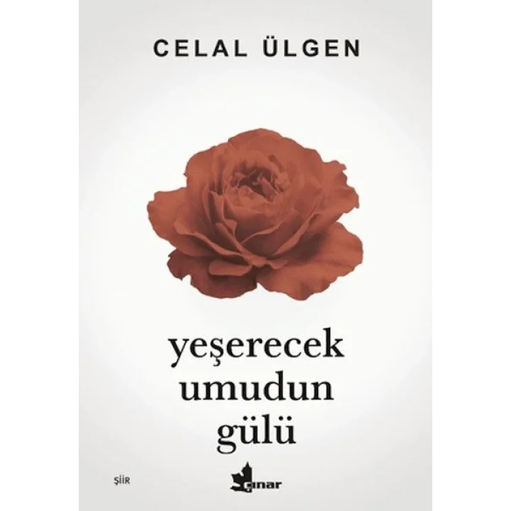 Yeşerecek Umudun Gülü