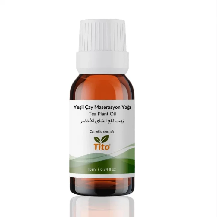 Yeşil Çay Maserasyon Yağı Camellia sinensis 10 g