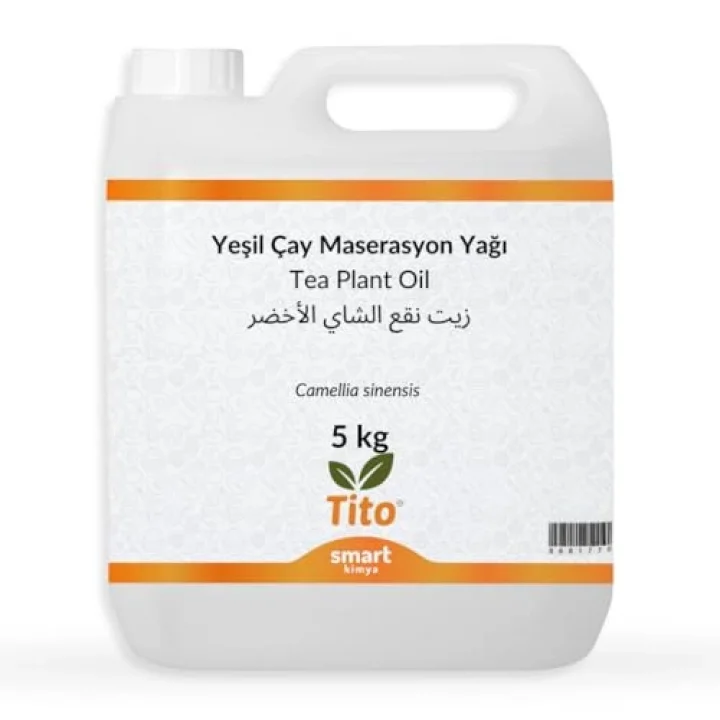 Yeşil Çay Maserasyon Yağı Camellia sinensis 5 kg