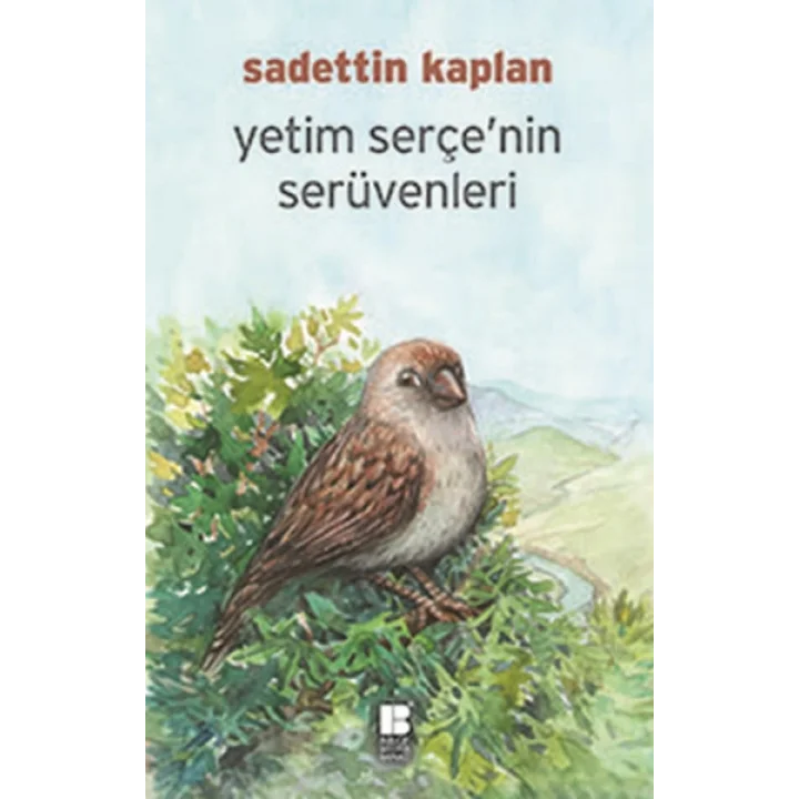 Yetim Serçenin Serüvenleri