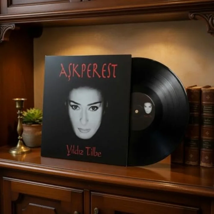 Yıldız Tilbe Aşkperest Plak 12 Parça Türkçe Pop Müzik Albümü