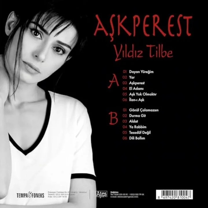 Yıldız Tilbe Aşkperest Plak 12 Parça Türkçe Pop Müzik Albümü
