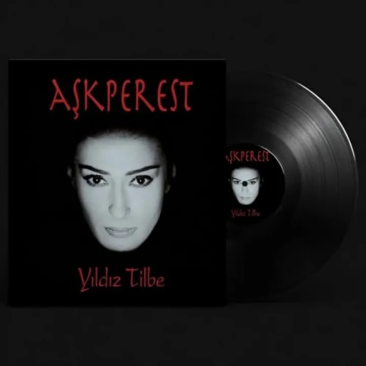 Yıldız Tilbe Aşkperest Plak 12 Parça Türkçe Pop Müzik Albümü