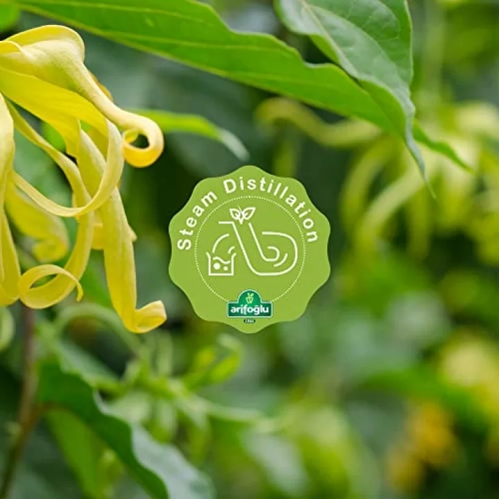 Ylang Ylang Yağı 20 ML