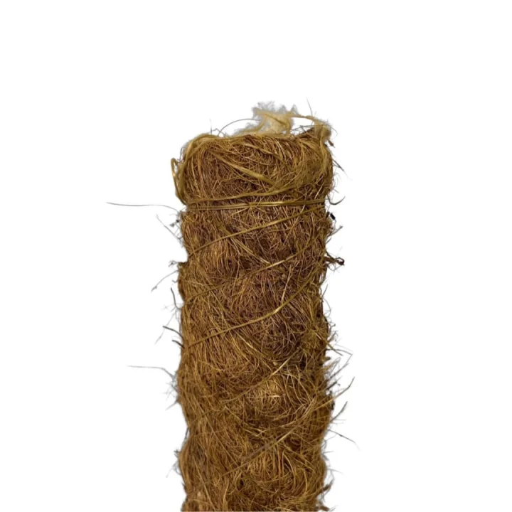 Yosun Bitki Destek Çubuğu (120 cm)