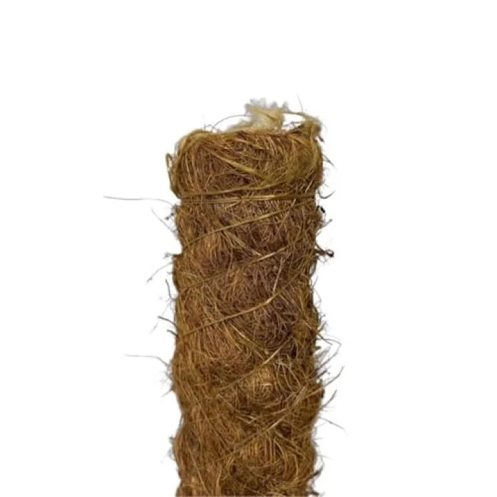 Yosun Bitki Destek Çubuğu (80 cm)