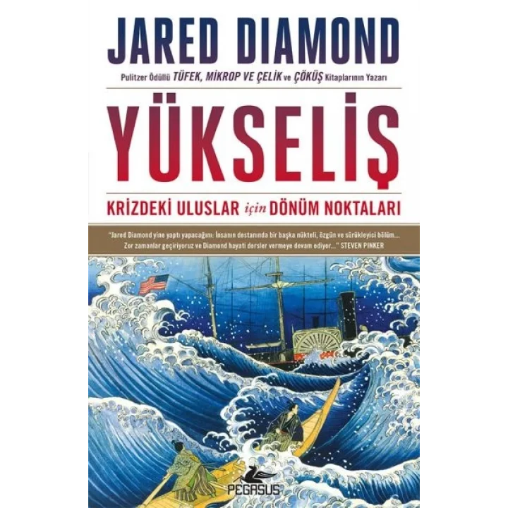 Yükseliş: Krizdeki Uluslar İçin Dönüm Noktaları - Ciltsiz