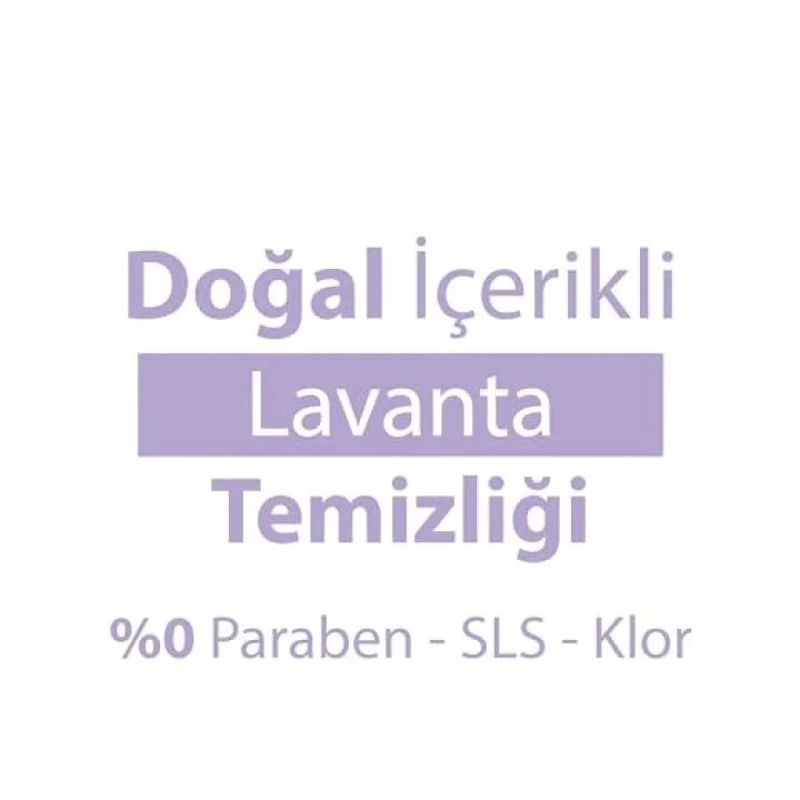 Yüzey Havlusu Lavanta 100 Yaprak