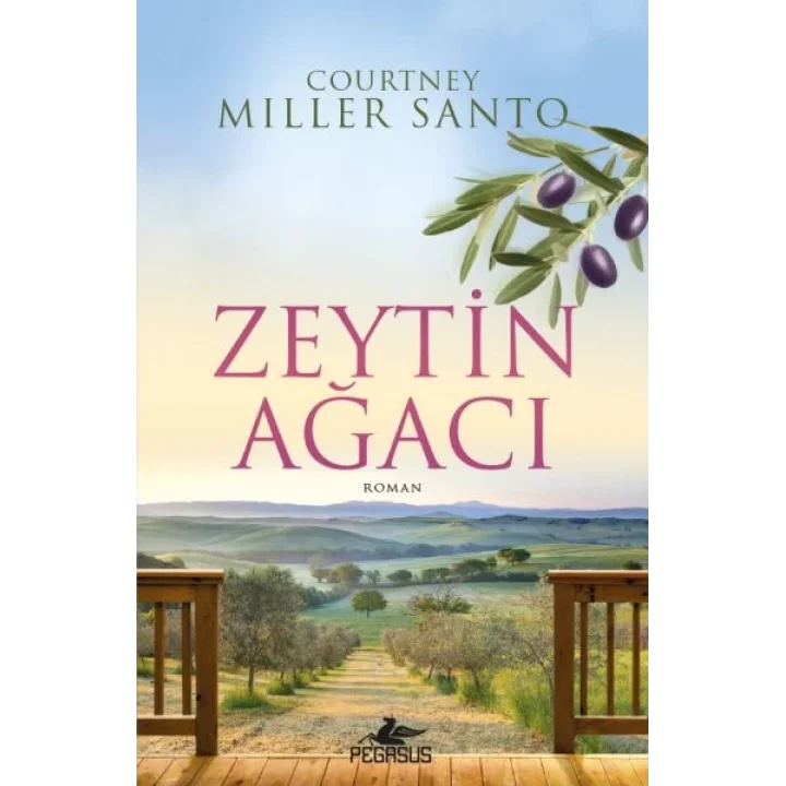 Zeytin Ağacı