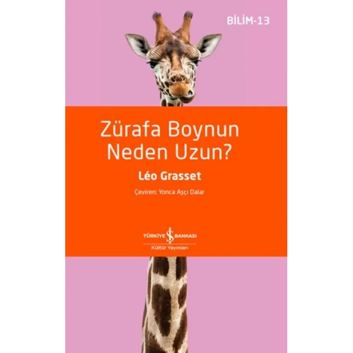 Zürafa Boynun Neden Uzun?