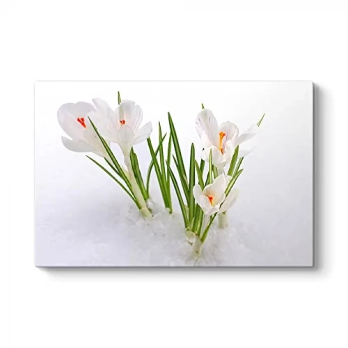 Kardelen Çiçeği Kanvas Tablo 45 x 30