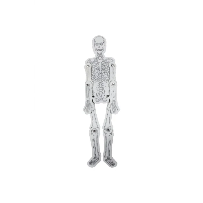 Karton Iskelet Seti Sistemi - Maket 1299145373