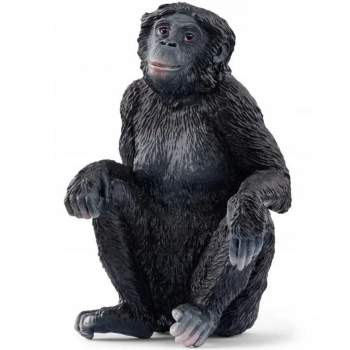 Mey İthalat® Bonobo