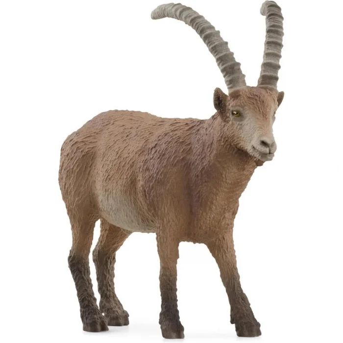 Mey İthalat® Oğlak
