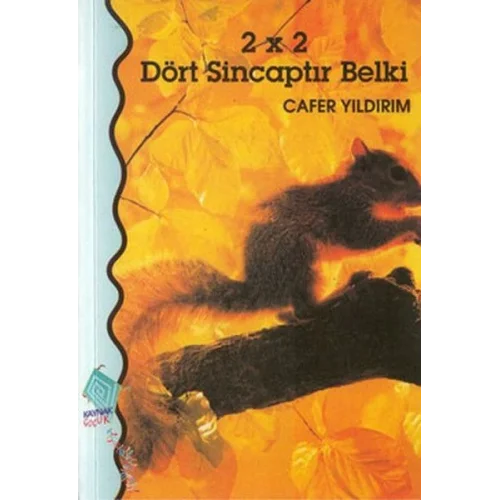 2 x 2 Dört Sincaptır Belki