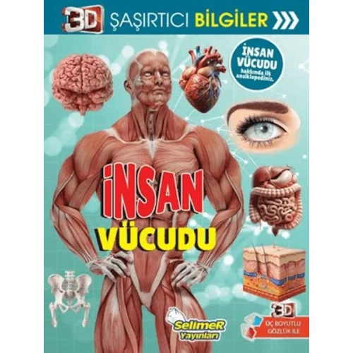 3D Şaşırtıcı Bilgiler - İnsan Vücudu