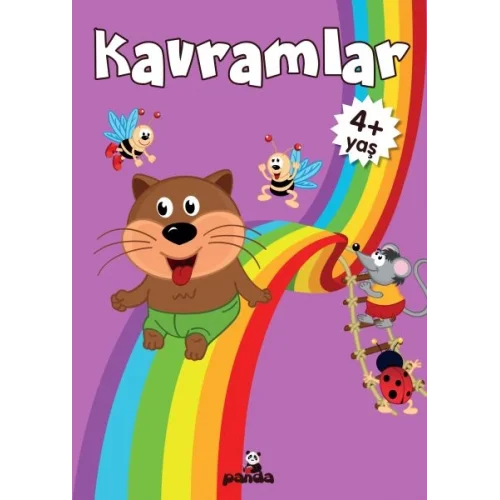 4 Yaş Kavramlar