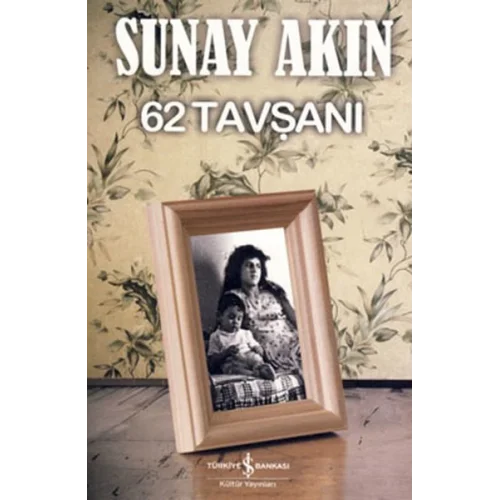 62 Tavşanı