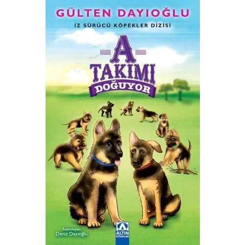 A Takımı Doğuyor