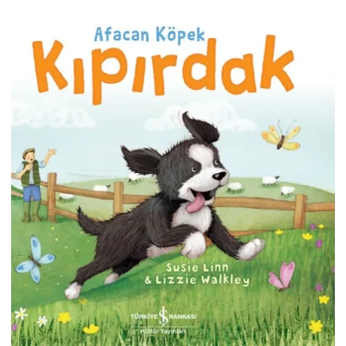 Afacan Köpek Kıpırdak