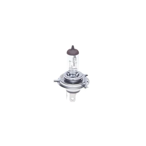 Ampul Eco H4 12V 100/90W P43T Tablali - Bsc 1 987 302 840