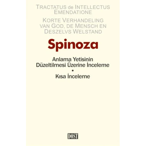 Anlama Yetisinin Düzeltilmesi Üzerine İnceleme