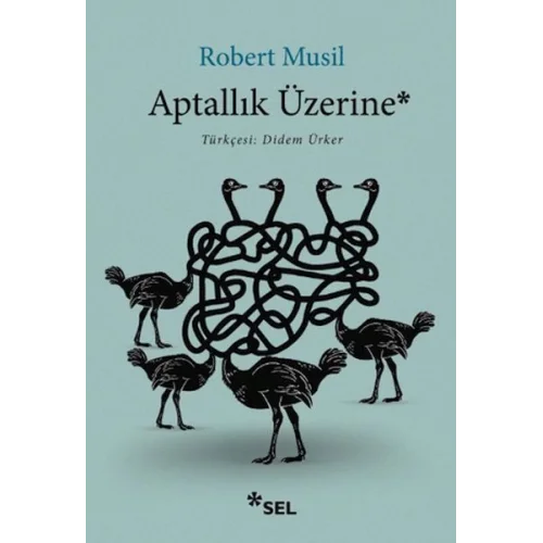 Aptallık Üzerine
