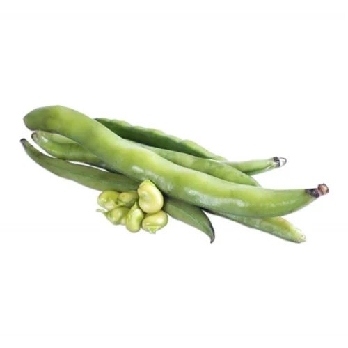 BAKLA (ÇOKLU TOHUM) - 50 Gram