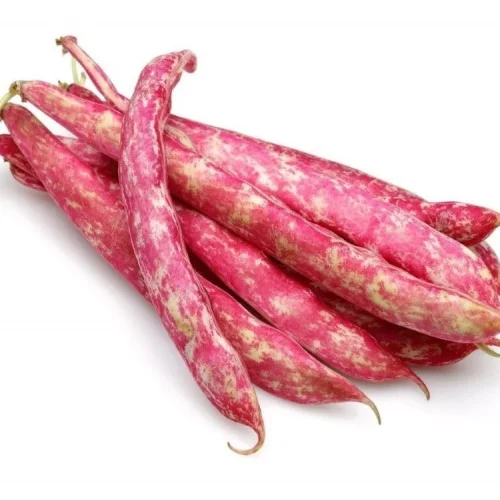 BARBUNYA (ÇOKLU TOHUM) - 25 Gram