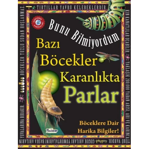 Bazı Böcekler Karanlıkta Parlar - Bunu Bilmiyordum - Böceklere Dair Harika Bilgiler!