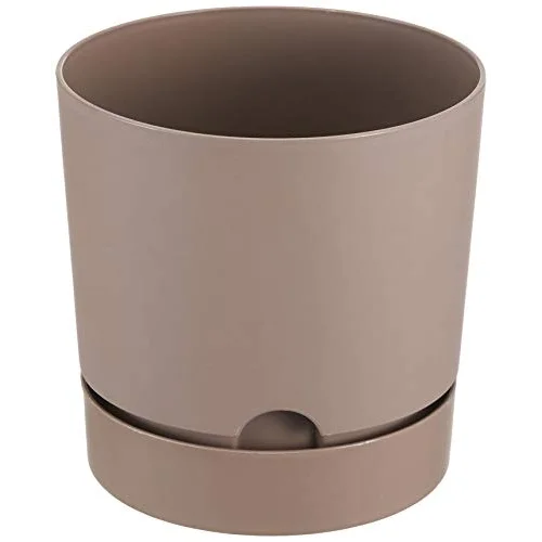 Begonya 21, 5 Litre