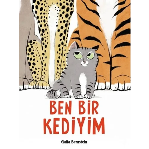 Ben Bir Kediyim
