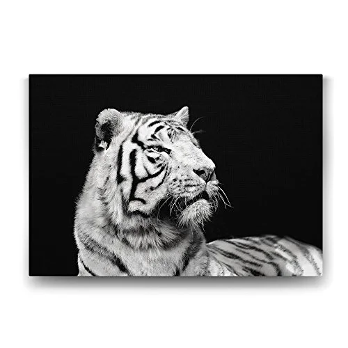 Beyaz Kaplan Profil Tablosu - 60x40cm