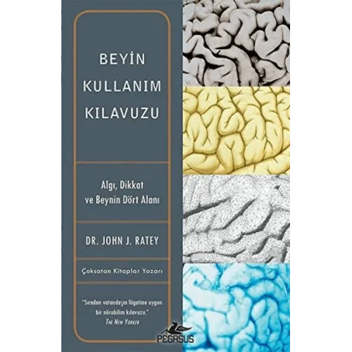 Beyin Kullanım Kılavuzu