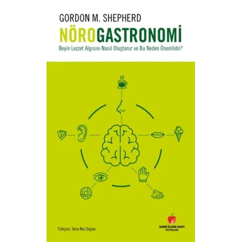 Beyin Lezzet Algısını Nasıl Oluşturur ve Bu Neden Önemlidir?